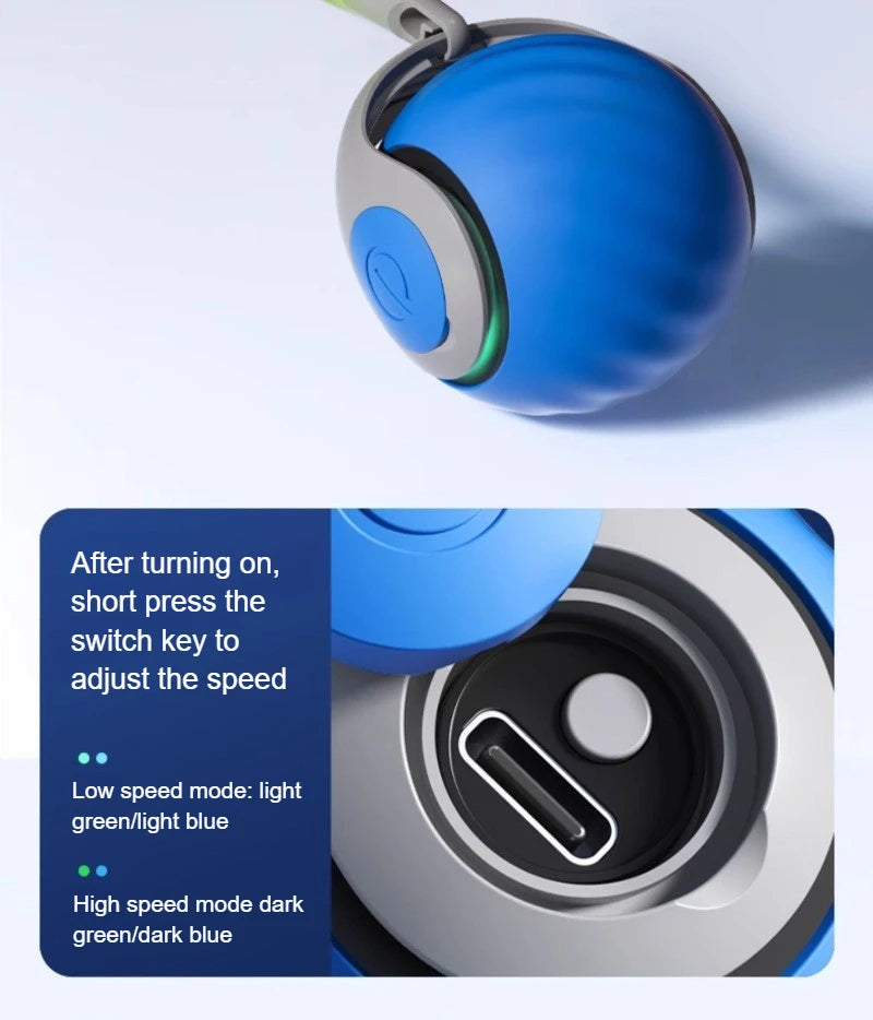 PawPure Electronic Cat Ball – Chase & Play Toy for Indoor Cats