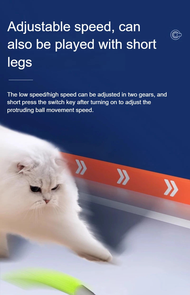PawPure Electronic Cat Ball – Chase & Play Toy for Indoor Cats