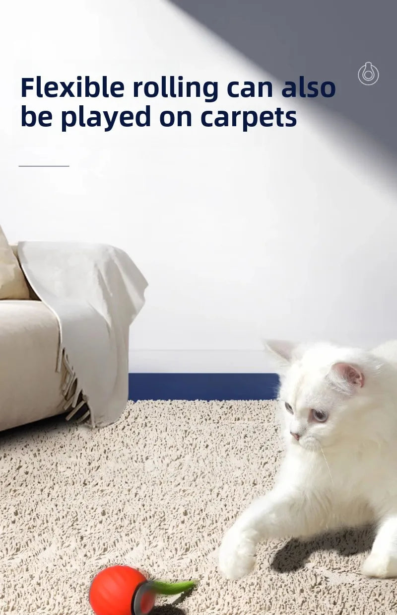 PawPure Electronic Cat Ball – Chase & Play Toy for Indoor Cats