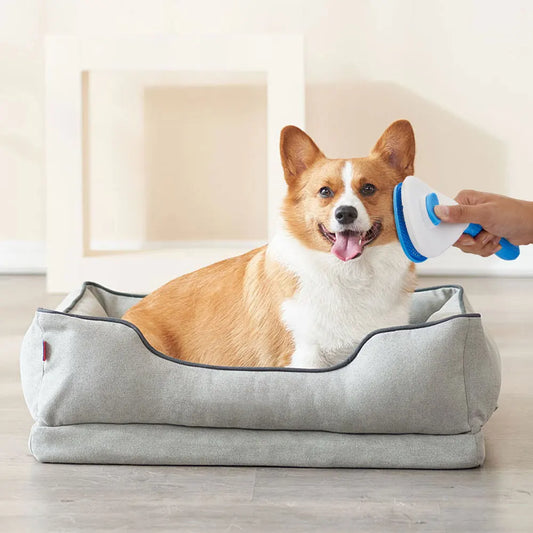 7-Piece Pet Grooming Kit – Brushes, Nail Clippers & Toothbrushes for Cats & Dogs