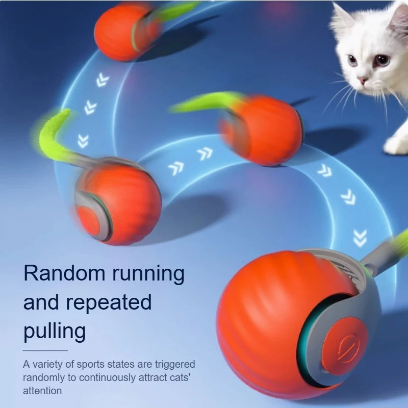 PawPure Electronic Cat Ball – Chase & Play Toy for Indoor Cats