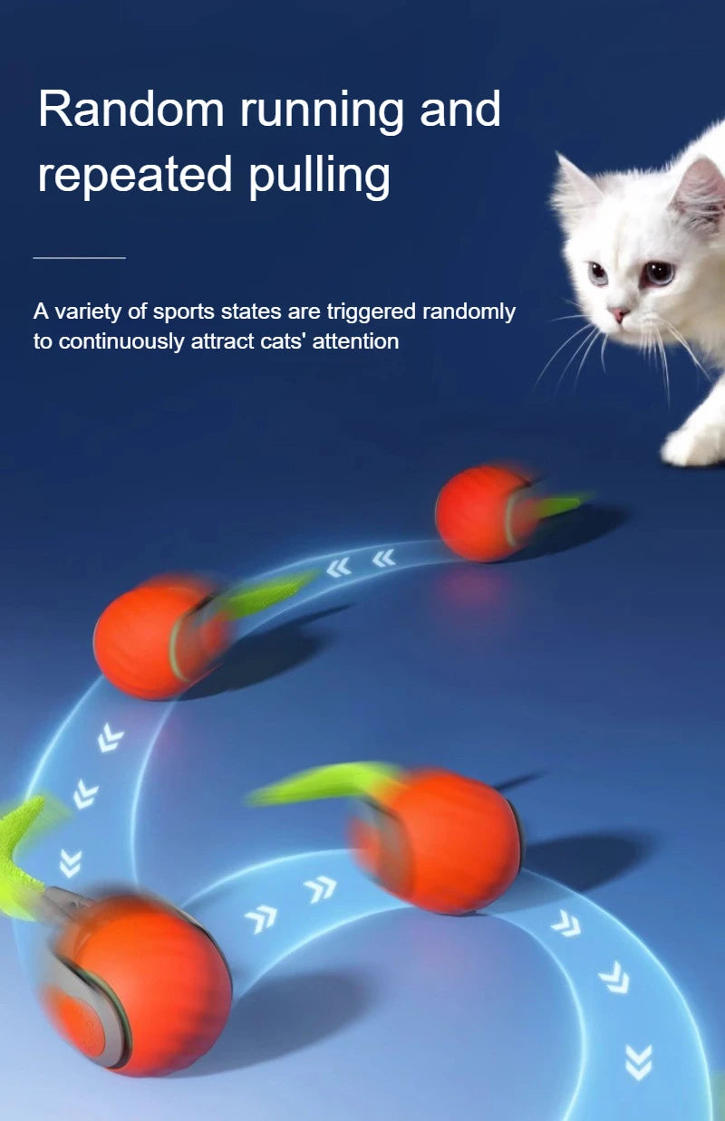 PawPure Electronic Cat Ball – Chase & Play Toy for Indoor Cats