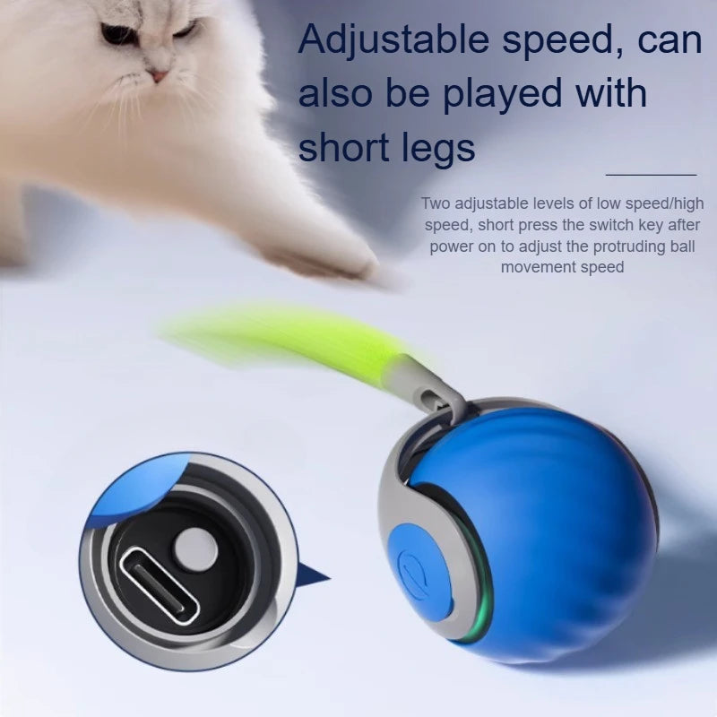 PawPure Electronic Cat Ball – Chase & Play Toy for Indoor Cats